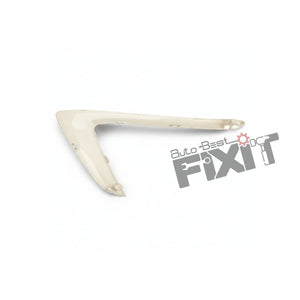MARUTI SUZUKI GARNISH,FRONT FOG LAMP,LH-DZIRE 3RD GEN 2020-NOW Compatible with MARUTI DZIRE F/L Vehicle_1