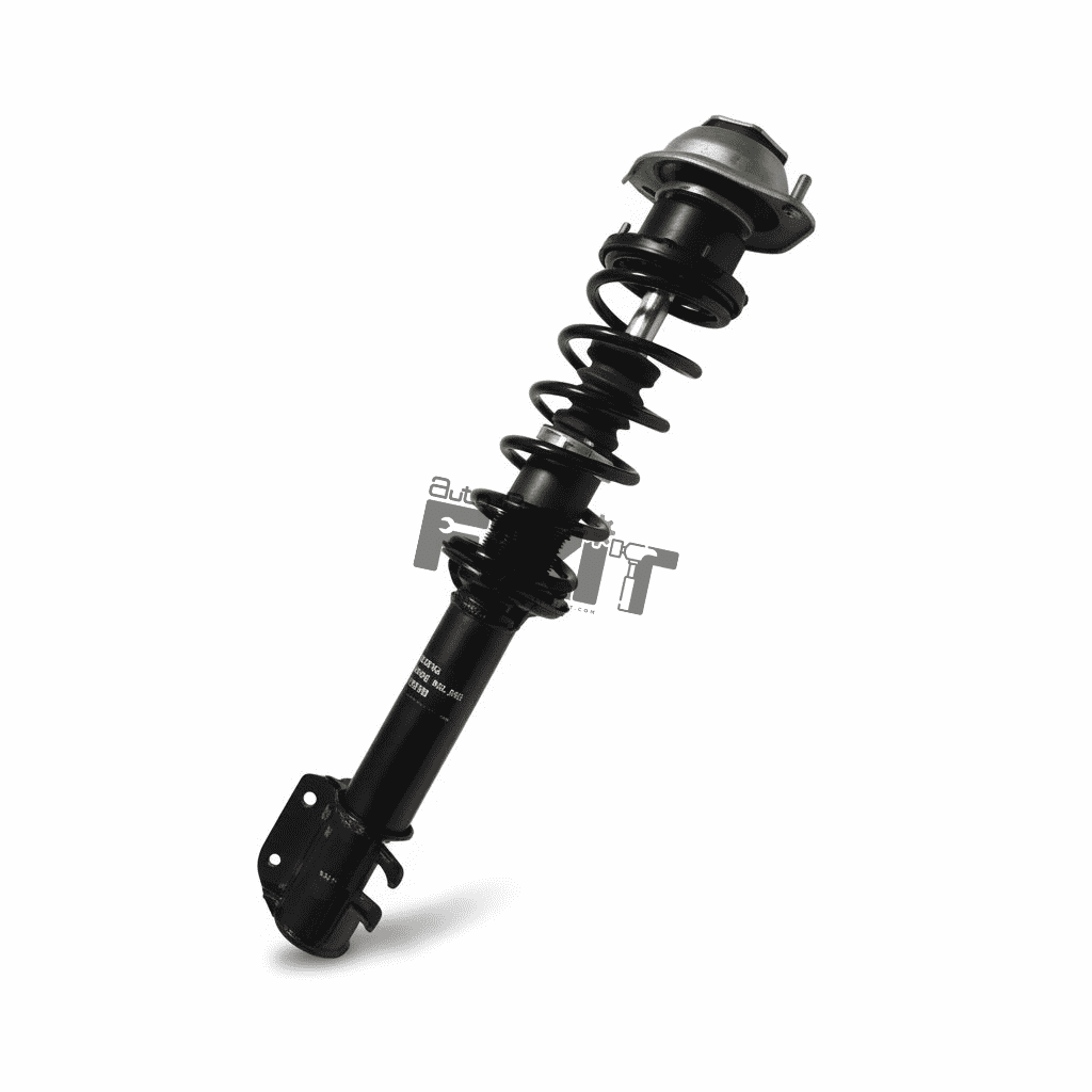 GABRIEL FRONT SUSPENSION STRUT ASSEMBLY RIGHT-NANO 2009-2018 Compatible with TATA NANO Vehicle