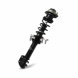 GABRIEL FRONT SUSPENSION STRUT ASSEMBLY RIGHT-NANO 2009-2018 Compatible with TATA NANO Vehicle_1