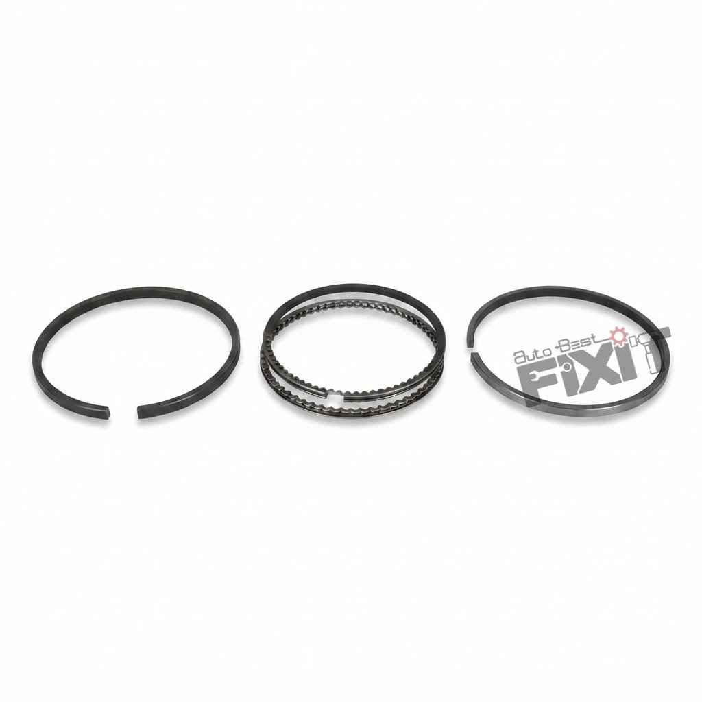 Datsun Go PISTON RING SET-PULSE 2012-2017 PTL/MICRA 2010-2017 PTL/GO 2014-2020 PTL/GO+ 2015-2020 PTL Petrol | 2014-2018 | NISSAN / RENAULT
