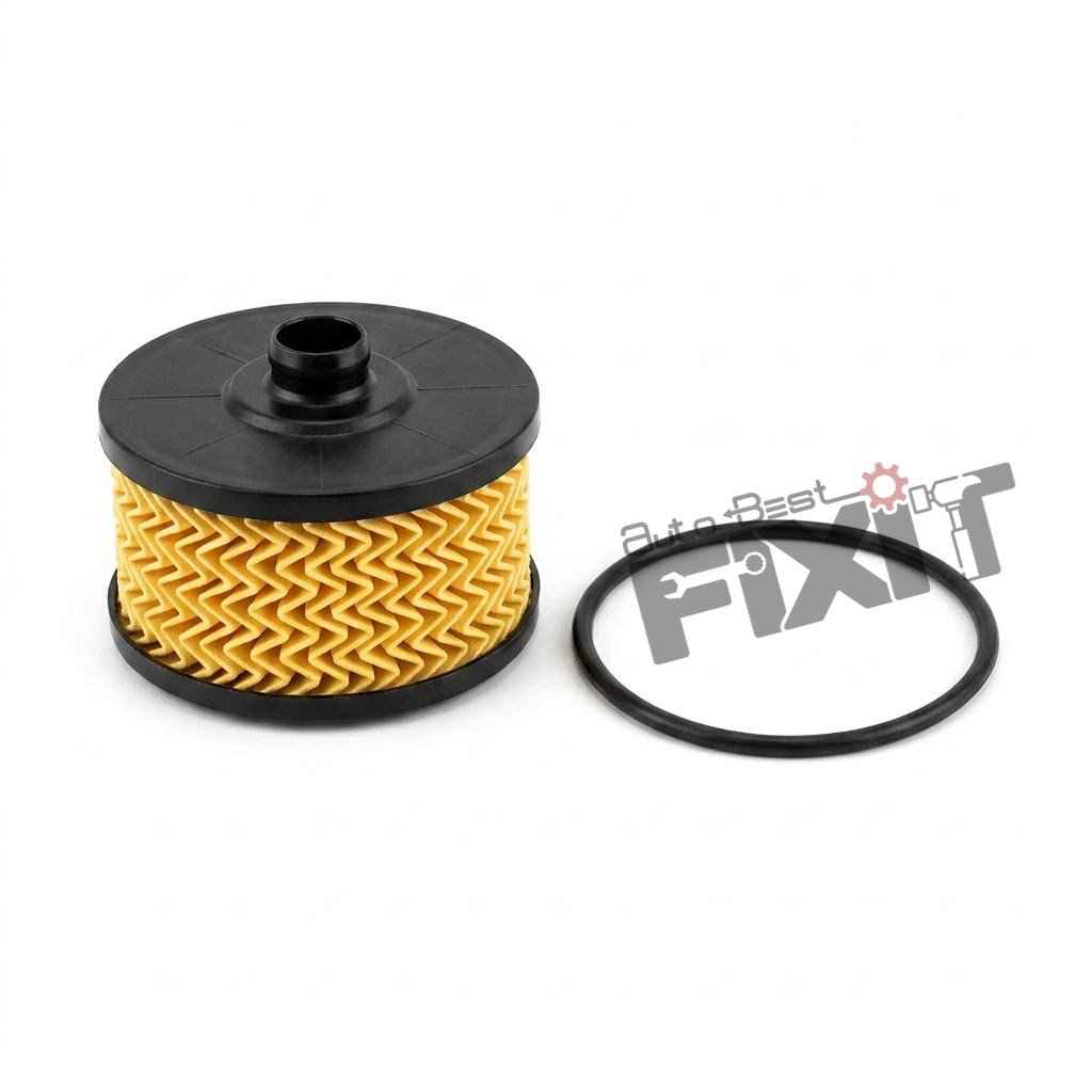 Renault Kiger OIL FILTER-KIGER 2021-NOW Petrol | 2021-2025 | NISSAN / RENAULT