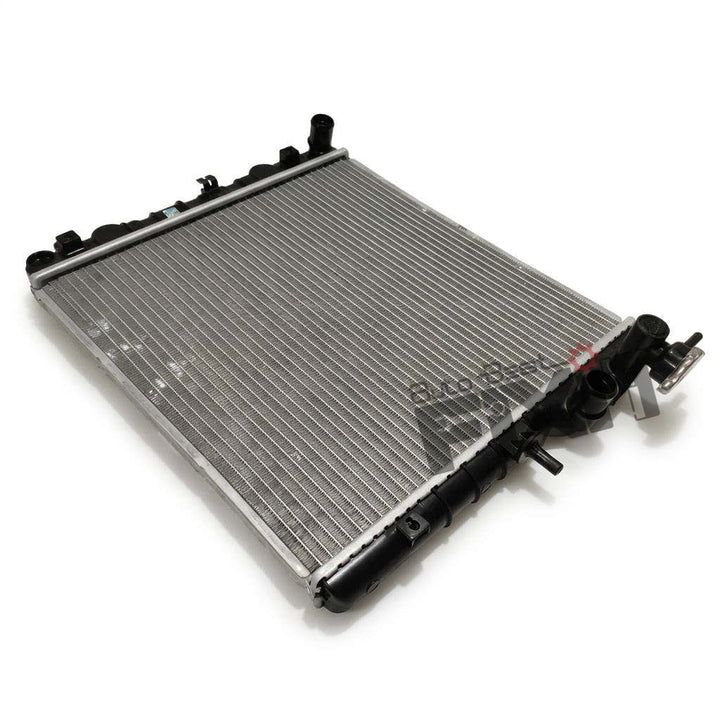 Hyundai Santro Xing Radiator Assembly | 2003-2015 | MOBIS