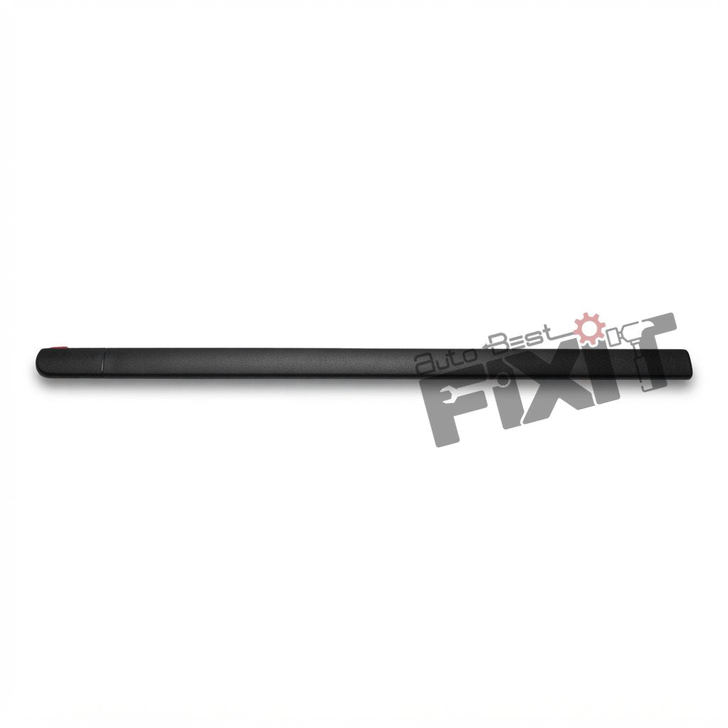 MGP MOLDING, FR DOOR LH (BLACK)-BALENO 1999-2008 Compatible with MARUTI BALENO Vehicle