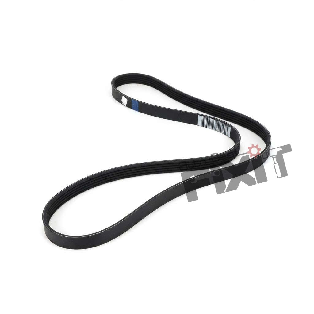 Ford EcoSport Accessory Drive Belt (Petrol) | 2013–2020 | Ford Genuine