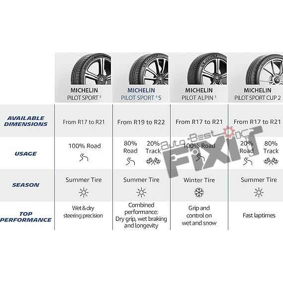 Michelin Pilot Sport 4S 245/35ZR20 (95Y) XL (Set of 1 Tyre Only) Compatible with AION, ASTON MARTIN, AUDI, BMW, CHEVROLET, CITROEN, DAEWOO, FERRARI, FORD, GENESIS, HYUNDAI,  Vehicle_2